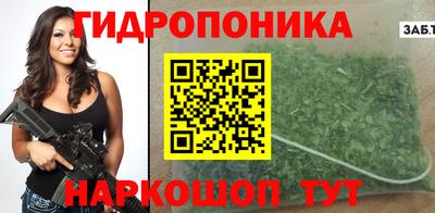 гидра Краснокаменск